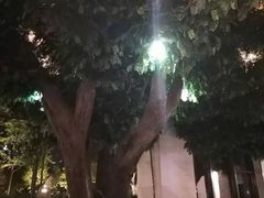 -上海虹桥西郊假日酒店