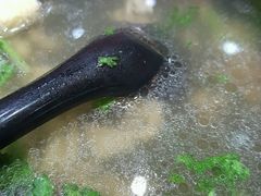 -百年尹氏汤包(湖南路狮子桥店)