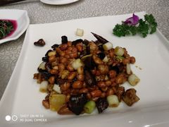 -芙蓉凰花园酒楼