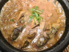 -小放牛炒菜馆(中山路乐汇城店)