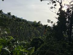-七仙岭君澜度假酒店
