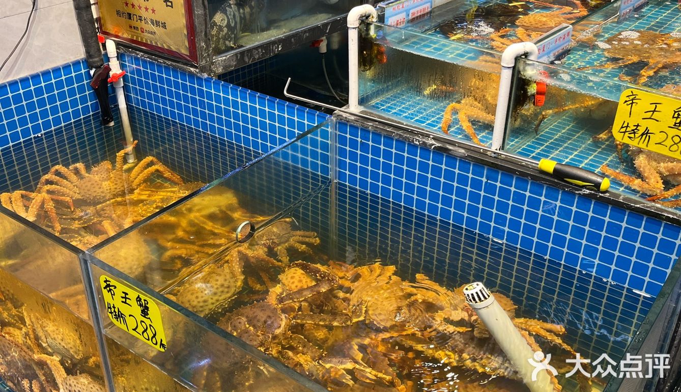 谁说八市没有好吃平价的海鲜大排档
