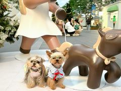 -东莞松山湖万象汇