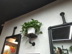 -AFA Hair studio·女士发型设计