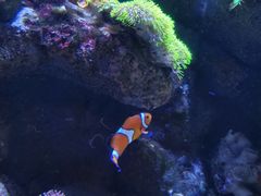 -成都浩海立方海洋公园