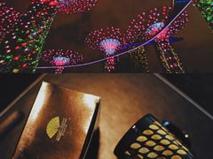 -新加坡文华东方酒店