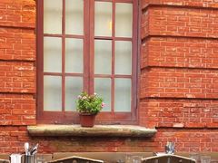 -Ocean's Table 欧舍