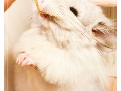 -龙猫仔乐园(惠福东路店)