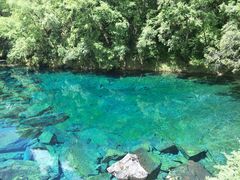 -叠溪松坪沟景区