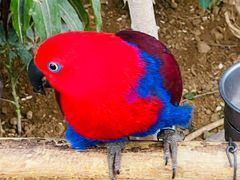 -南宫五洲植物乐园