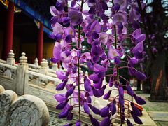 -北京国子监胡同