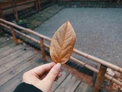-乐领拈花溪·林涧食韵