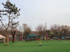 -尚庄度假村·庭台树下·户外烧烤·团建CS·轰趴营地(上庄水库店)