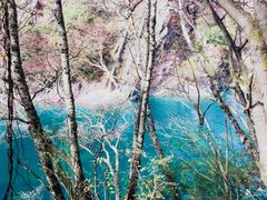 -叠溪松坪沟景区