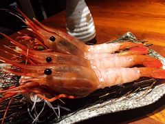 牡丹虾-千代武日本料理(爱建店)