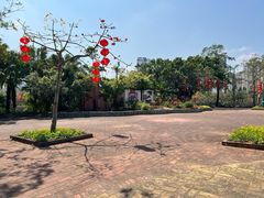 -中澳友谊花园
