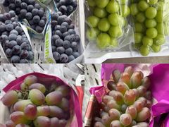 -马陆小张葡萄园农家乐