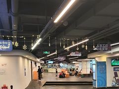 -世界之窗阿尔卑斯冰雪世界