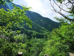 -云岫谷自然风景区