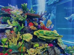 -成都浩海立方海洋公园