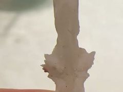 -土砂锅生态山庄·非遗砂锅雅鱼