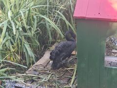 -山东大学(威海校区)