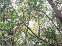 -白水带风景区体育公园