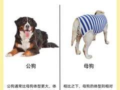-萌兽医馆·犬猫专科·眼科中心·宠物医院(朝阳门分院)