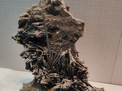 -湖南省地质博物馆