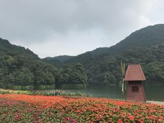 -广州市石门国家森林公园