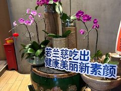 -若蘭慈·无国界素食料理(欢乐海岸店)