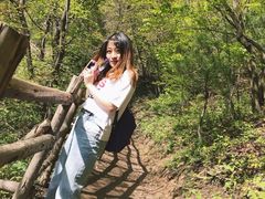 -王顺山国家森林公园