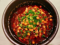 -新蜀会四川豆花(五羊店)