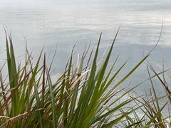 -东钱湖旅游度假区