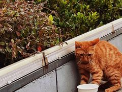 -UNIUNI(凯瑟琳广场店)