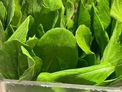 -野·大山里野生菌石锅土鸡(益田假日店)