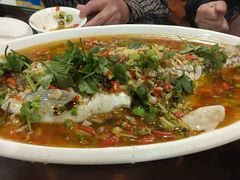 飞虹鱼-飞虹鱼馆(春华路店)