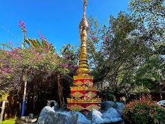 -瑞丽独树成林风景区