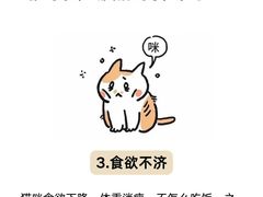 -守诺宠物医院·眼科· 特色牙科·异宠专科(虹口店)