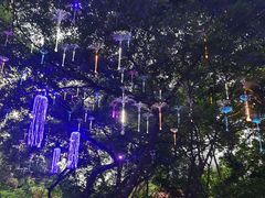 -广西壮族自治区药用植物园