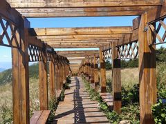 -白草畔自然风景区