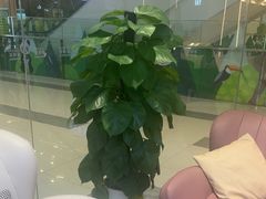 -凯德广场(武胜路店)