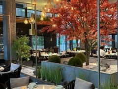 -拈菜(观音桥阳光世纪店)