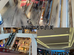 -岭南站NOVA