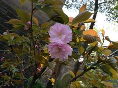 -西安化觉巷清真大寺