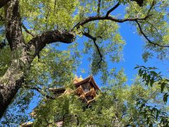 -东华门大街小区