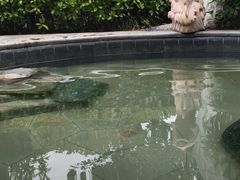 -太白山御龙湾温泉