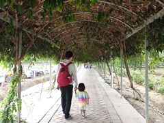 -长廊欢乐园