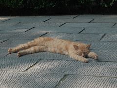 -晋祠博物馆