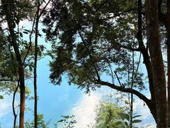 -广州市流溪河国家森林公园